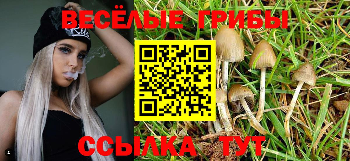 цена   Галлюциногенные грибы мицелий  Вход с VPN  Чайковский 