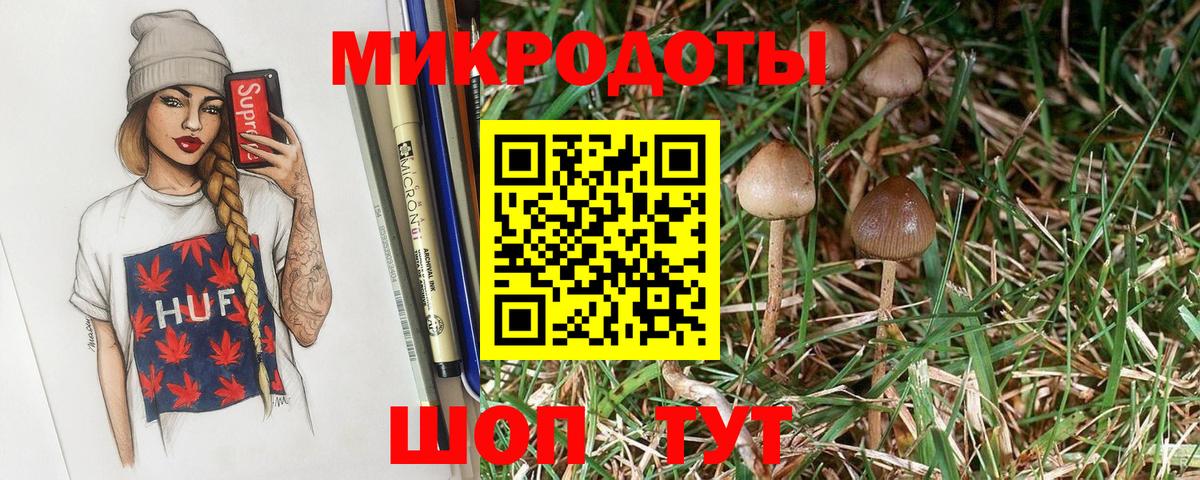 Псилоцибиновые грибы Magic Shrooms Чайковский